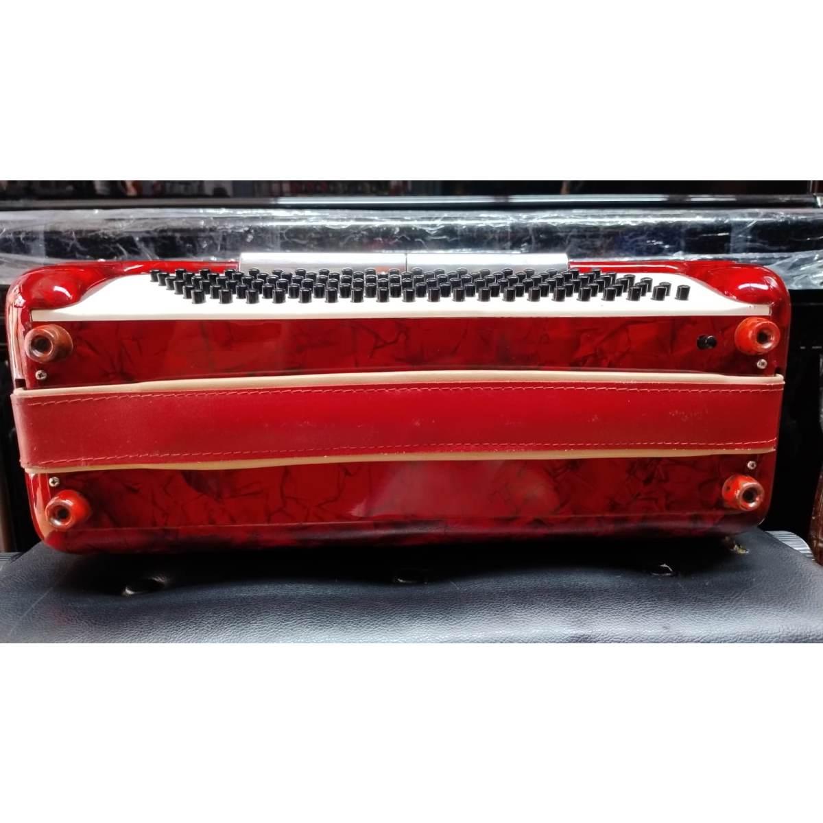 L'Artigiana fisarmonica 120 bassi made in Italy Castelfidardo, usata