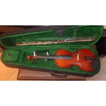 Roling's mw0dw  violino 3/4 serie student