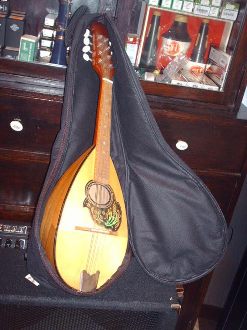 Roling's custodia-borsa imbottita per  mandolino bombato