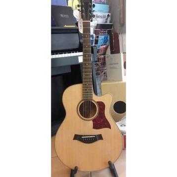 Chitarra elettro-acusticaphoenix sunny chitarra elettro-acustica 