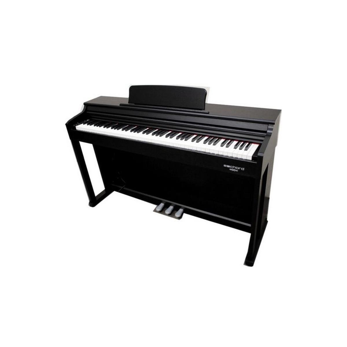Fbt Echord Dpx 100 pianoforte 88 tasti pesati nero