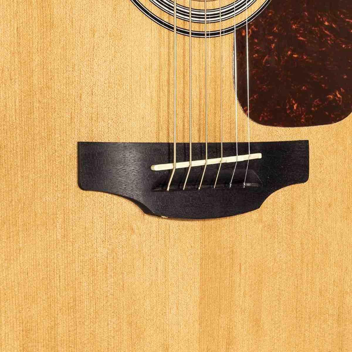 Takamine TAK-GSD1CE-NG Chitarra Acustica cutaway elettrificata naturale