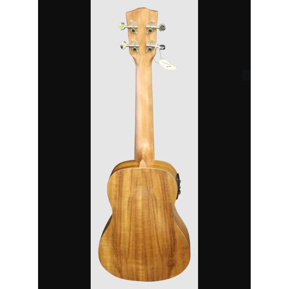 Vermont u100e-n ukulele elettrificato con borsa