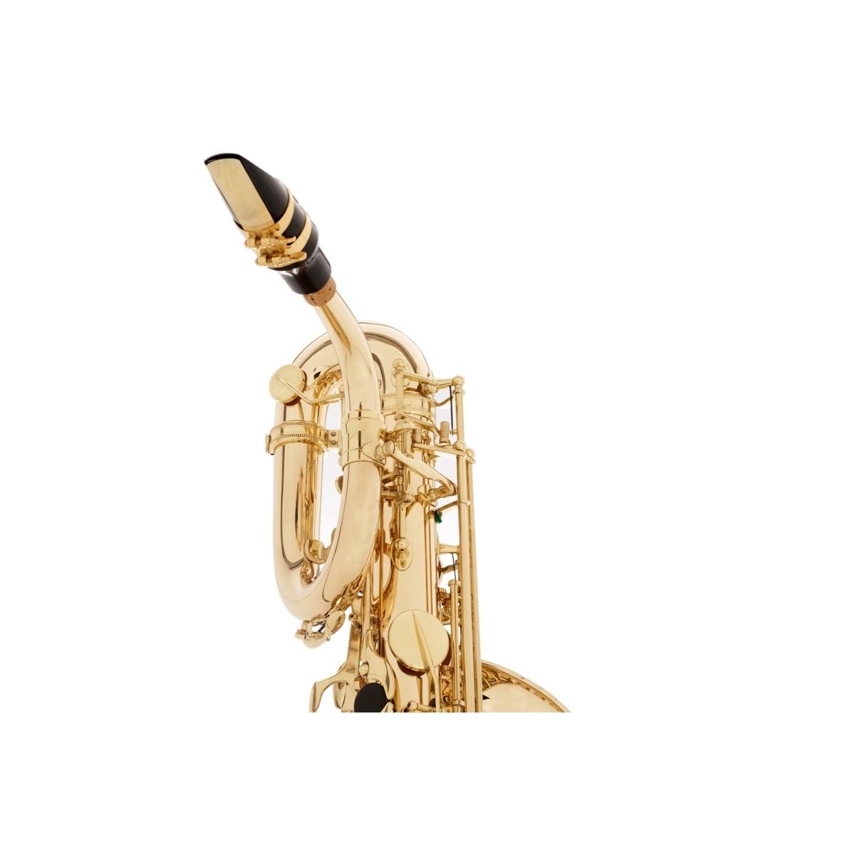 Borgani Royal Winds Pro RBS85 Sax Baritono Bronzo