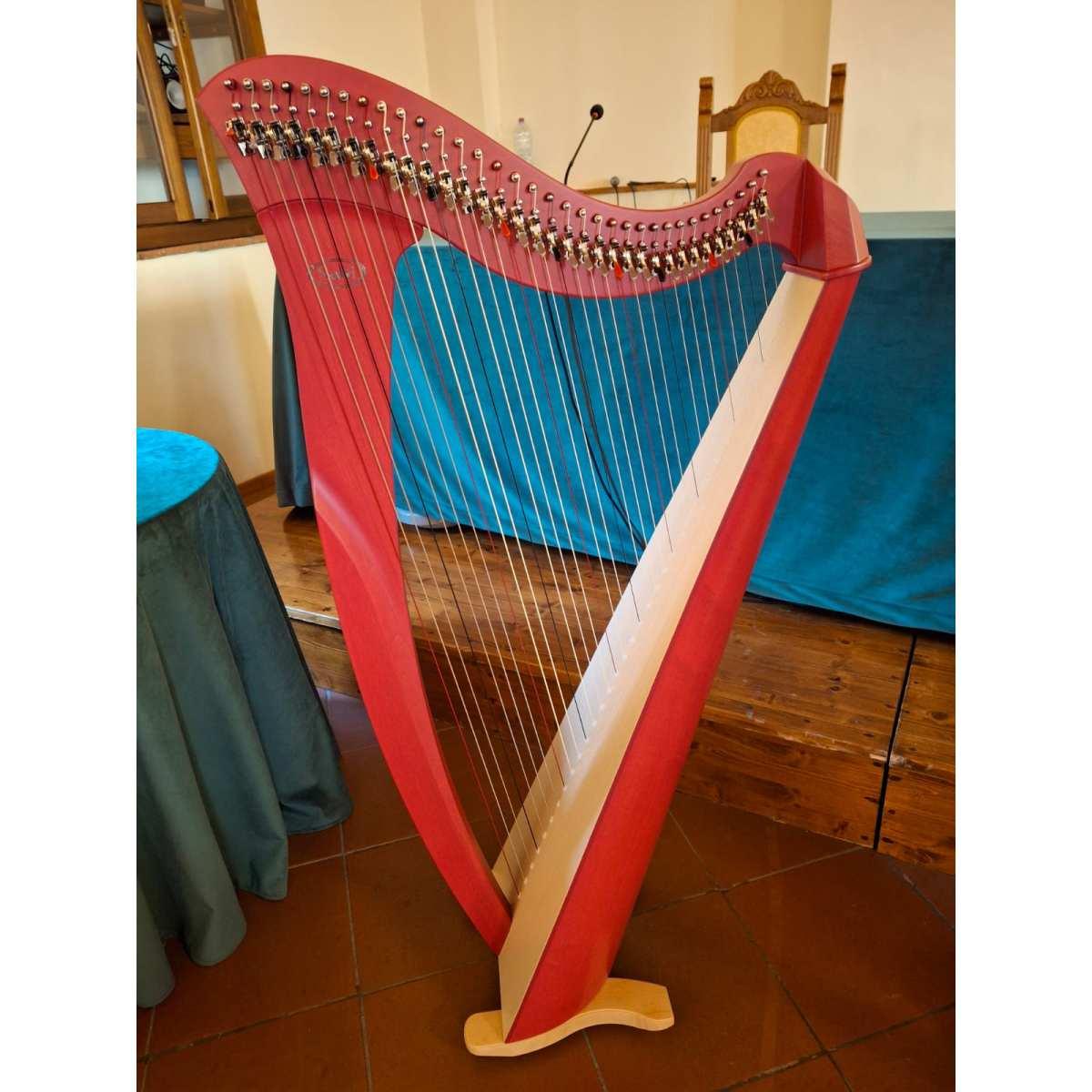 Salvi Harps Arpa 34 corde modello Mia finitura ciclamino
