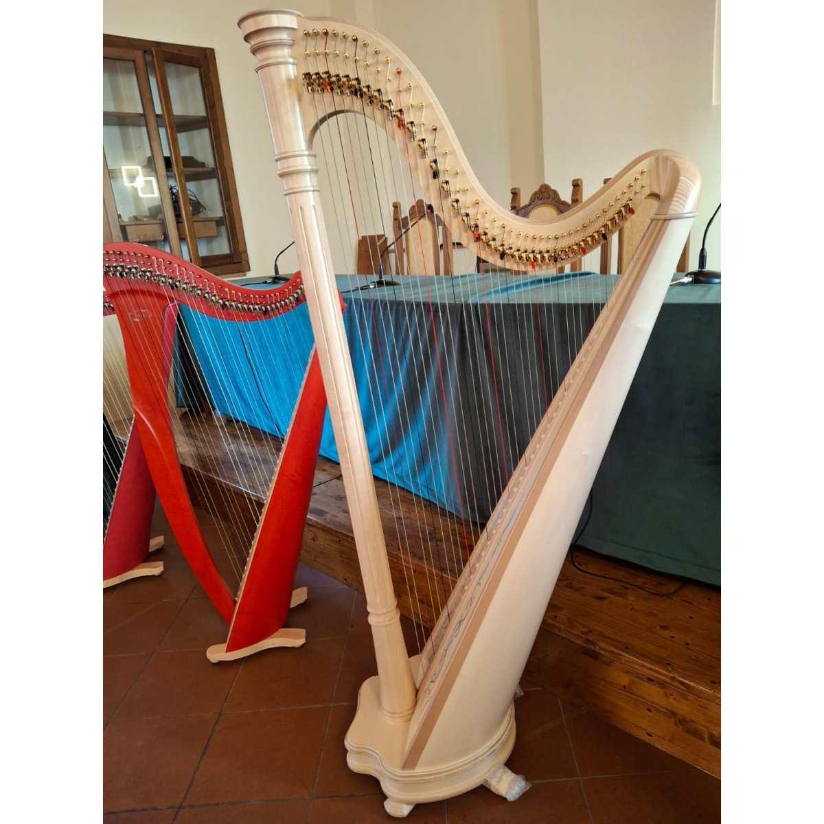 Salvi Harps 40 corde modello ANA DELUXE finitura acero