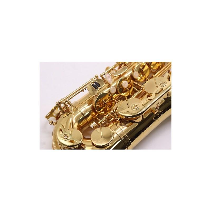 Amadeus Ts 910 Sax Tenore