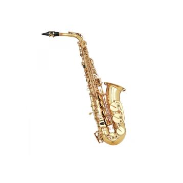 Grassi sal700 sax alto completo di accessori