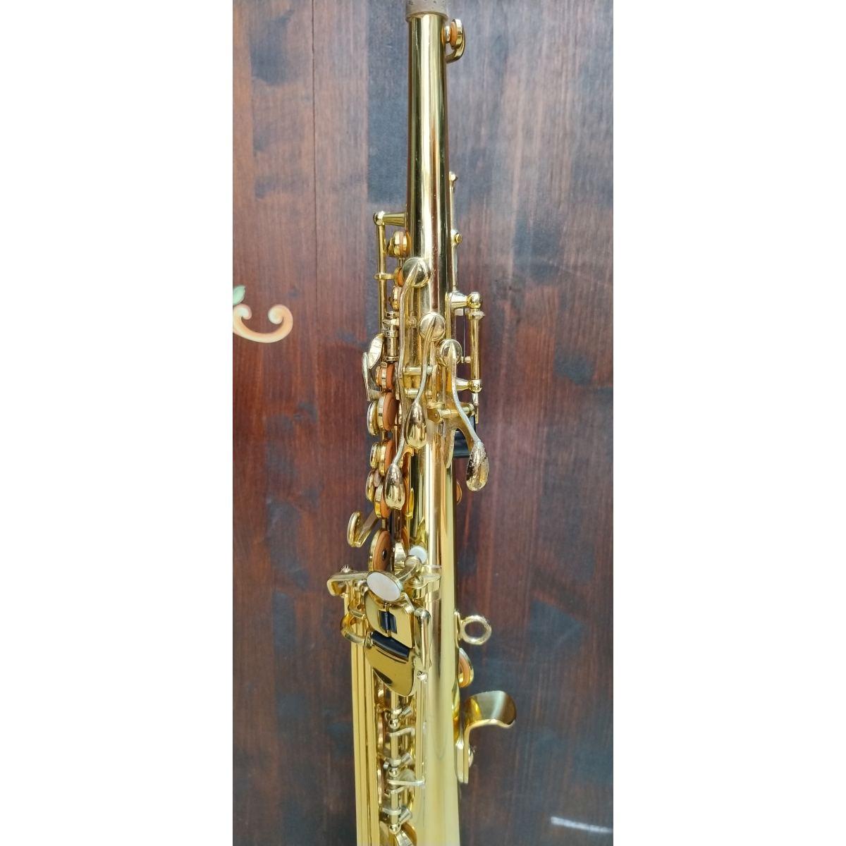 Borgani Royal Winds RSS55/1 Sax soprano sib (pezzo unico), usato