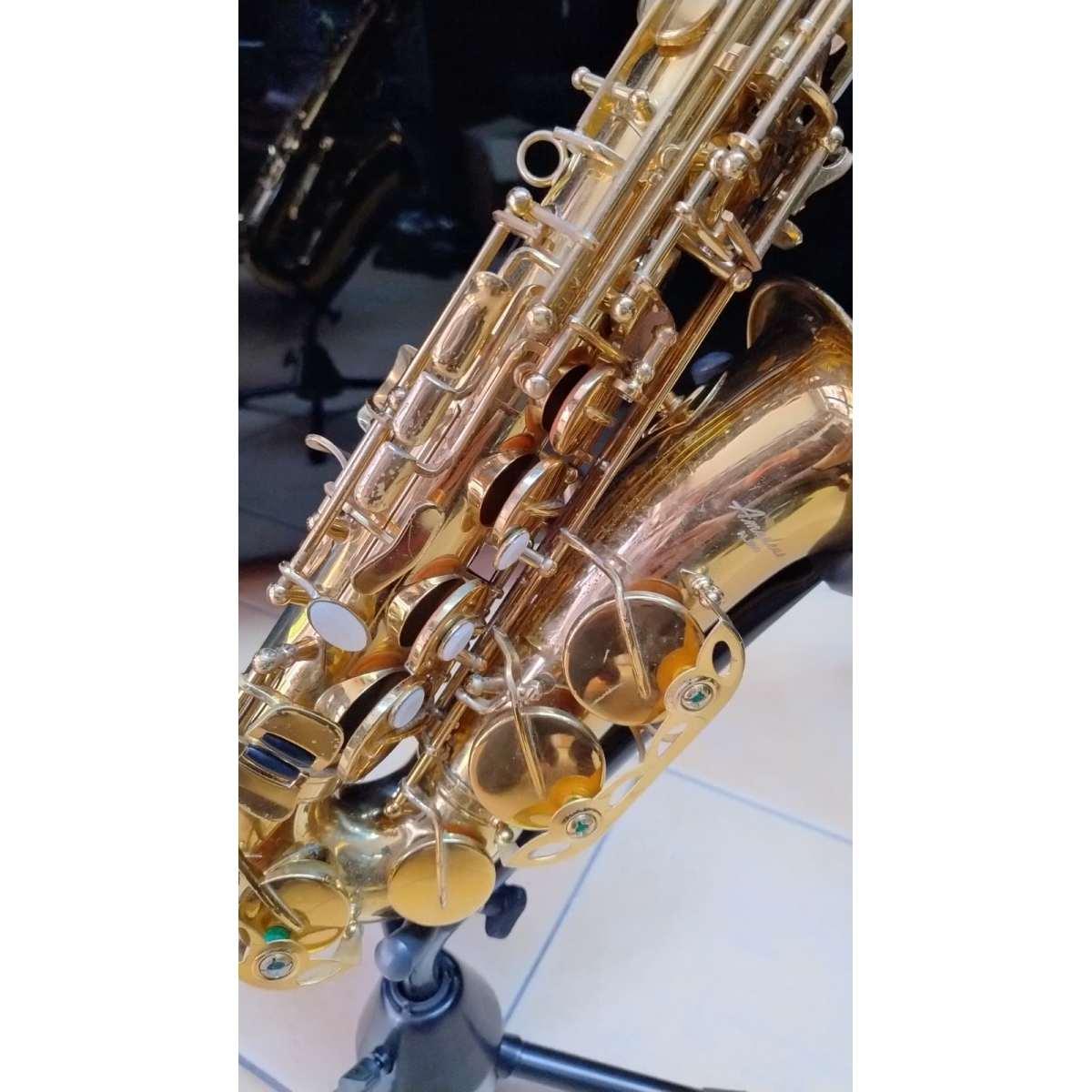 Amadeus AL850 Sax Alto in Mib, usato