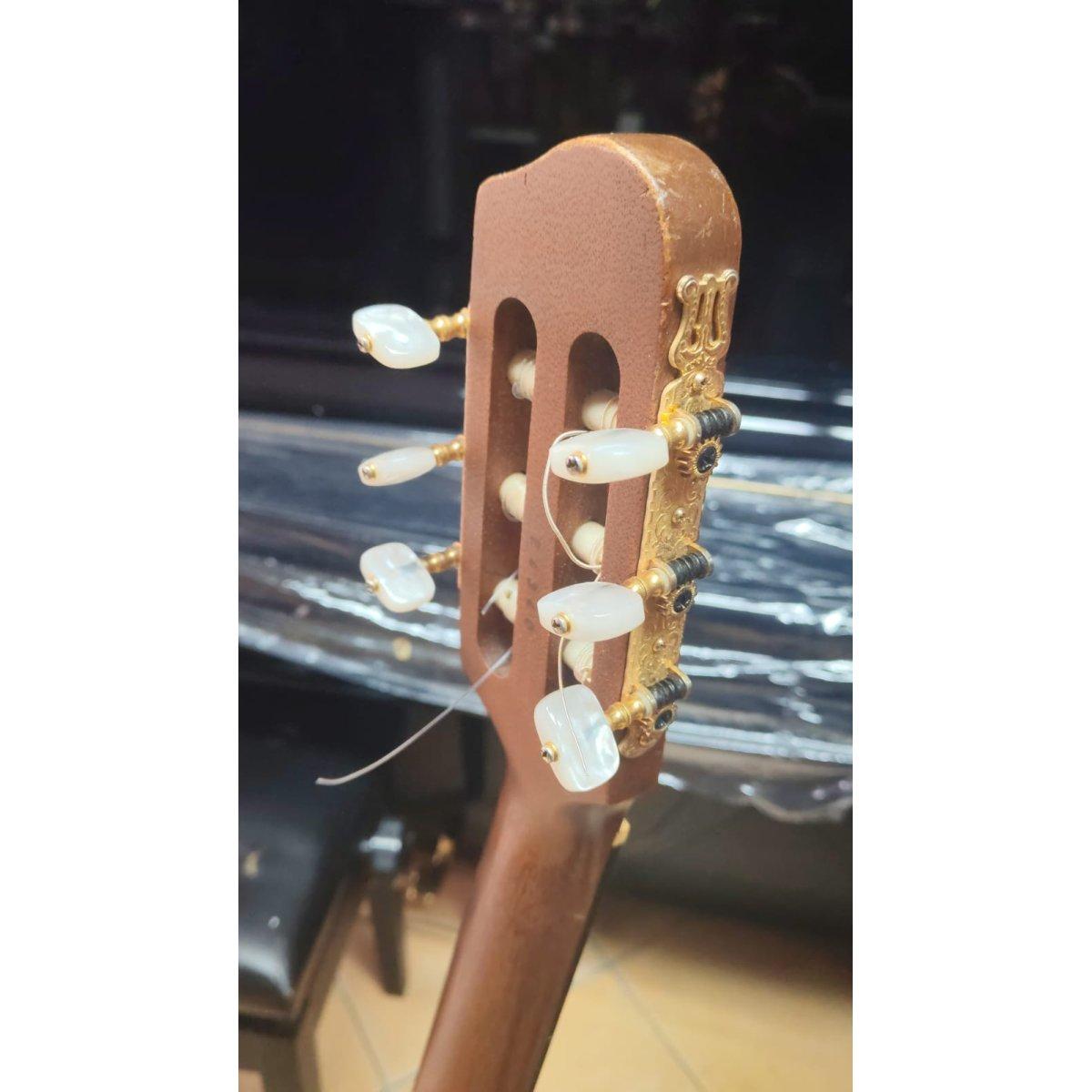 Godin Multiac 1994 made in canada usata completa di custodia originale